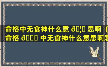 命格中无食神什么意 🦅 思啊（命格 🐈 中无食神什么意思啊怎么解释）